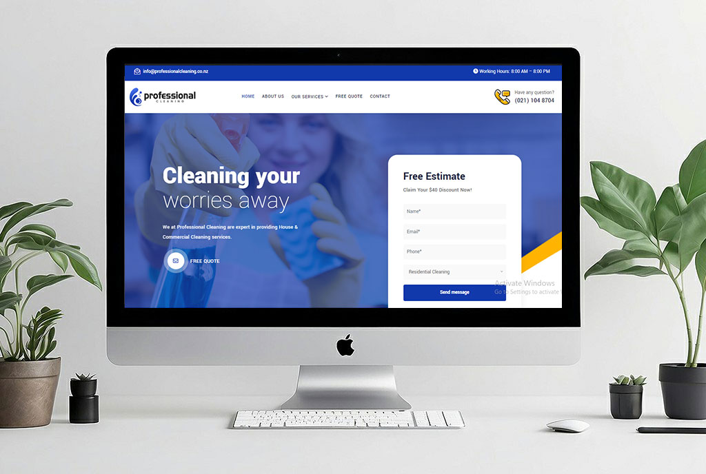 professional cleaning